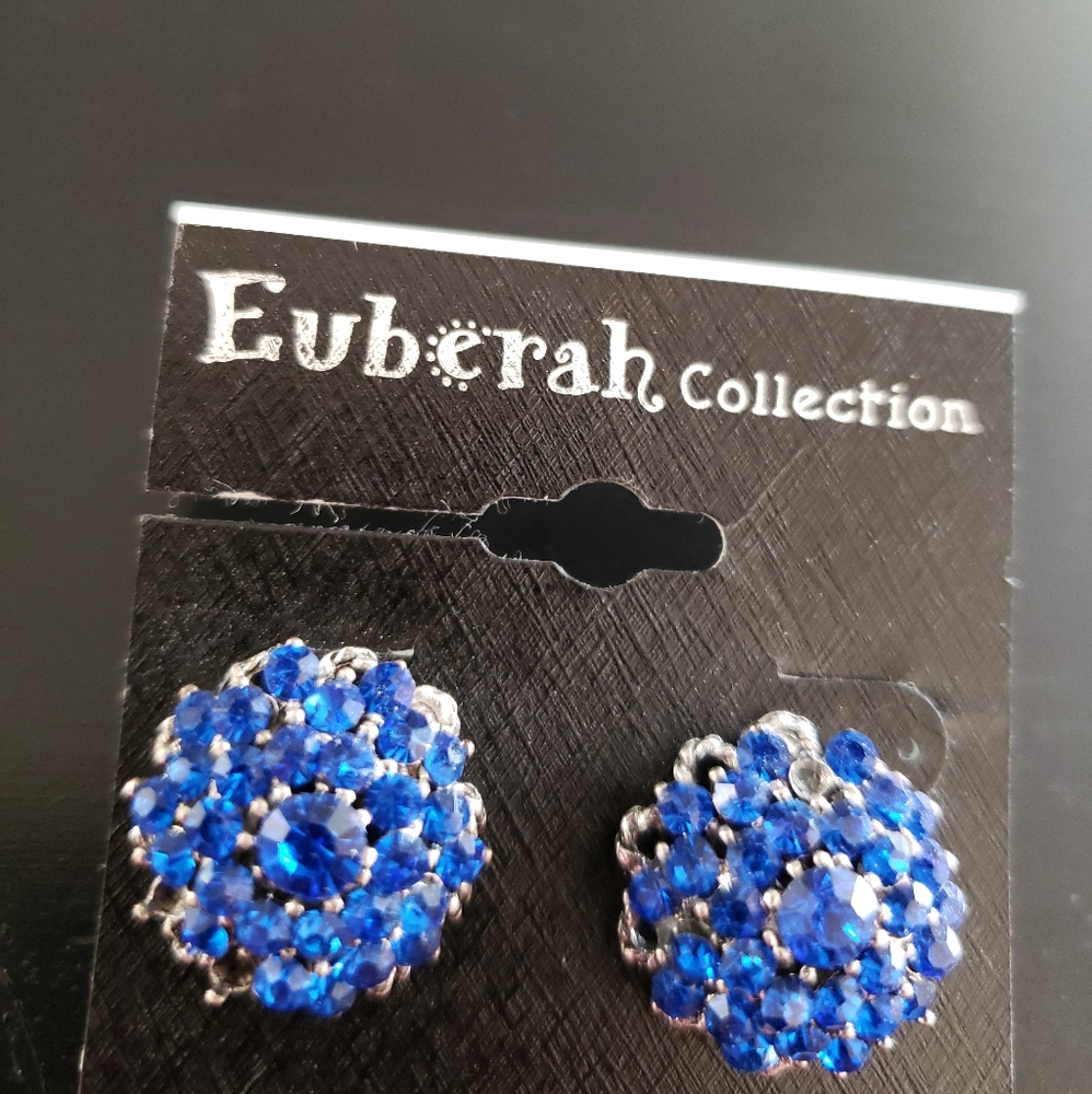 🔥3/&20 Blue Pierced Earrings Euberah